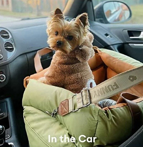 Funny fuzzy waterproof - funny, dog