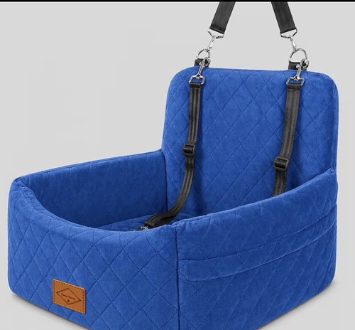 Paws sauvy dog - paws,